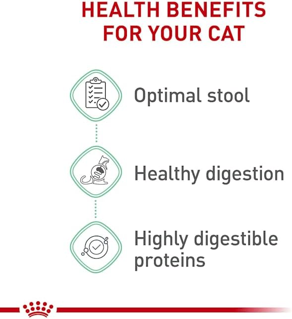 Royal Canin Digestive Care Dry Cat Food, 6 lb bag
