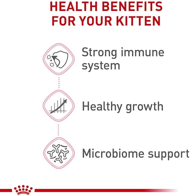 Royal Canin Feline Health Nutrition Dry Kitten Food, Supports Digestive Health, Immune Support and Healthy Energy, 14 lb Bag