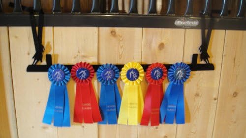 Showoff Black 14ga Steel Award Rack - Horse, Wall Mount or Stall Mount, USA Made