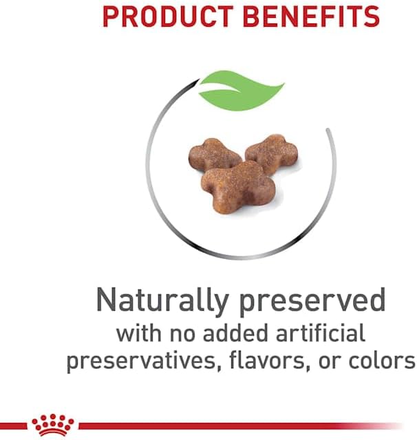 Royal Canin Feline Health Nutrition Dry Kitten Food, Supports Digestive Health, Immune Support and Healthy Energy, 14 lb Bag