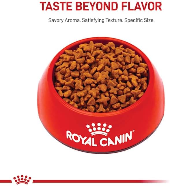 Royal Canin Feline Health Nutrition Sensitive Digestion Cat Food Dry Formula, Balanced Nutrition to Support Digestive Health, 7 lb Bag