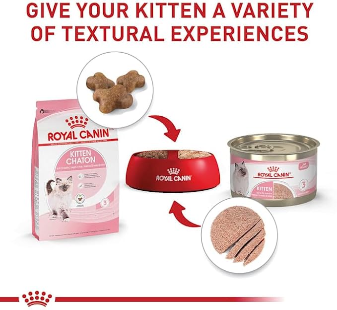 Royal Canin Feline Health Nutrition Dry Kitten Food, Supports Digestive Health, Immune Support and Healthy Energy, 14 lb Bag