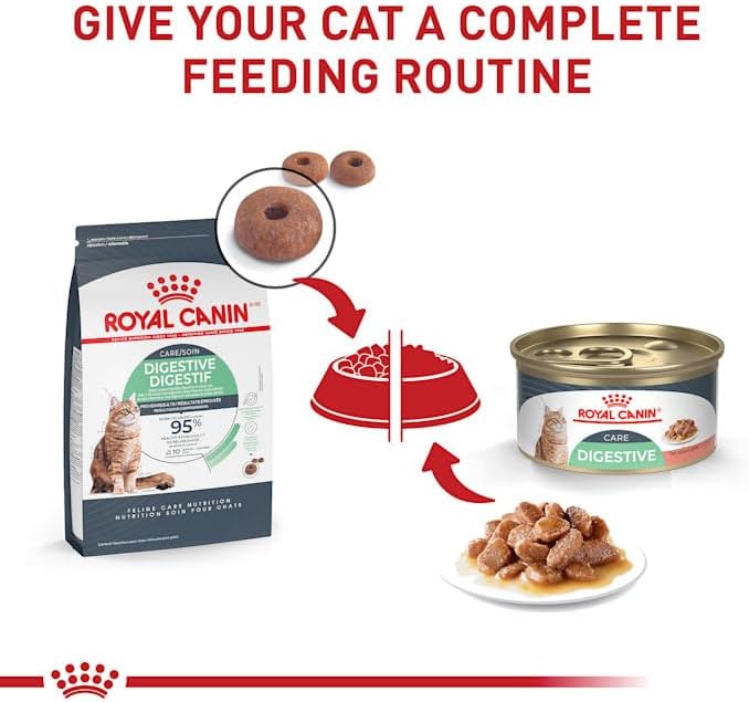 Royal Canin Digestive Care Dry Cat Food, 6 lb bag