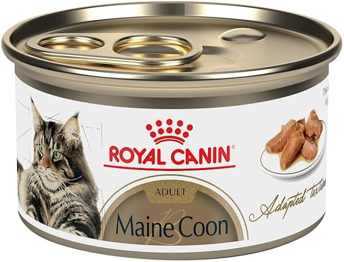 Royal Canin Maine Coon Breed Thin Slices in Gravy Adult Wet Cat Food, 3 oz can (4-pack)