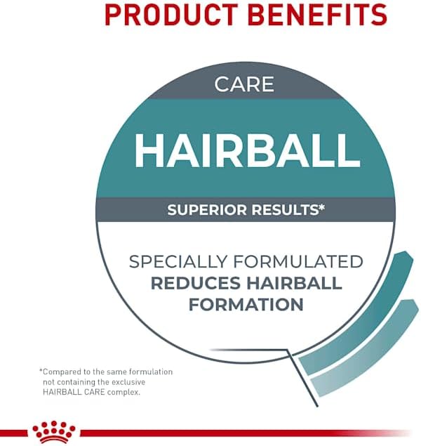 Royal Canin Hairball Care Dry Cat Food, 6 lb bag