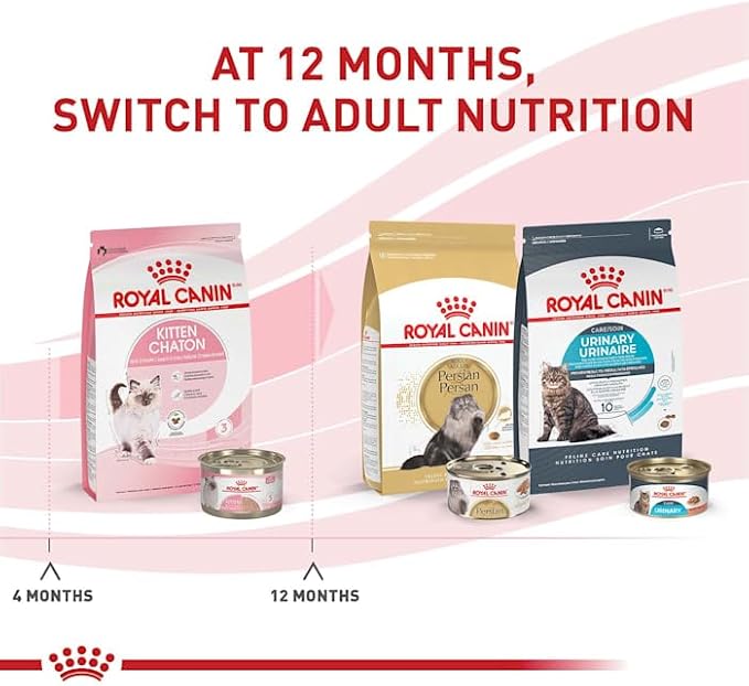 Royal Canin Feline Health Nutrition Dry Kitten Food, Supports Digestive Health, Immune Support and Healthy Energy, 14 lb Bag