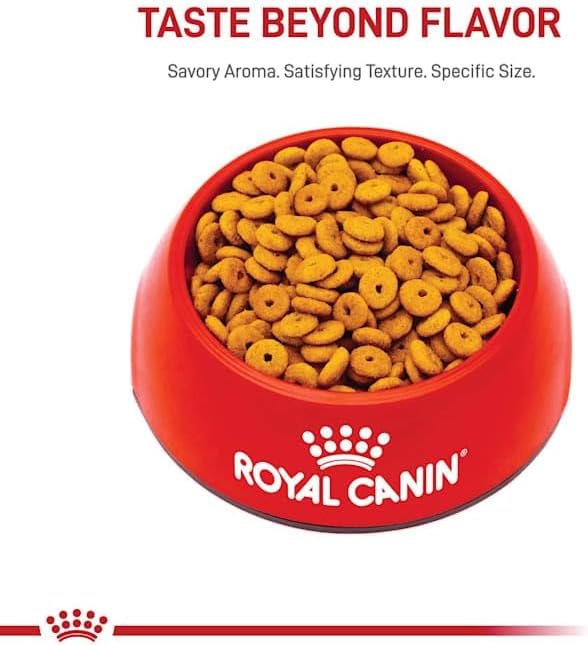 Royal Canin Feline Weight Care Adult Dry Cat Food, 6 lb bag