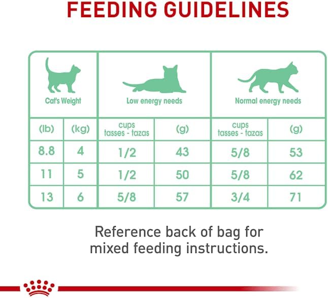 Royal Canin Digestive Care Dry Cat Food, 6 lb bag