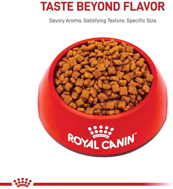 Royal Canin Feline Health Nutrition Dry Kitten Food, Supports Digestive Health, Immune Support and Healthy Energy, 14 lb Bag