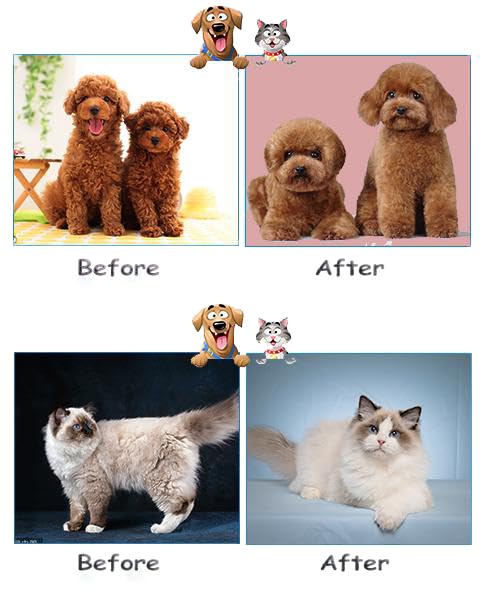 Self Cleaning Slicker Brush for Cats & Dogs, Cat Brush For Shedding, Cat Brush & Dog Brush with Massage Particles, Deshedding Brush, Hair Brush Puppy Brush for Haired Dogs