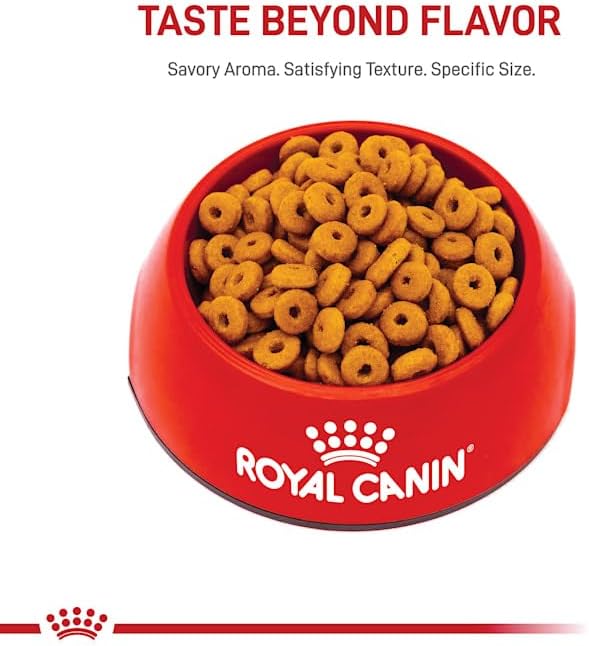Royal Canin Digestive Care Dry Cat Food, 6 lb bag