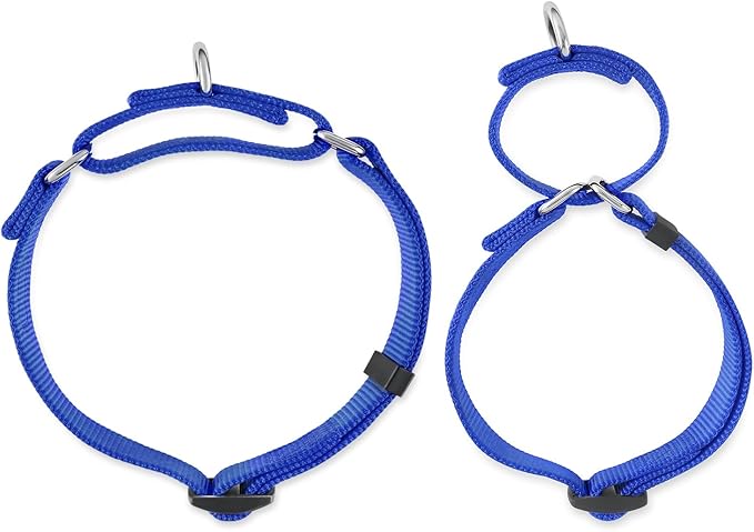 Hyhug Heavy Duty Nylon Escape-Proof Martingale Dog Collar for Large Giant Breeds Dogs Comfy and Safe Collar - Daily Use Walking and Professional Training.(Large,Bright Blue)
