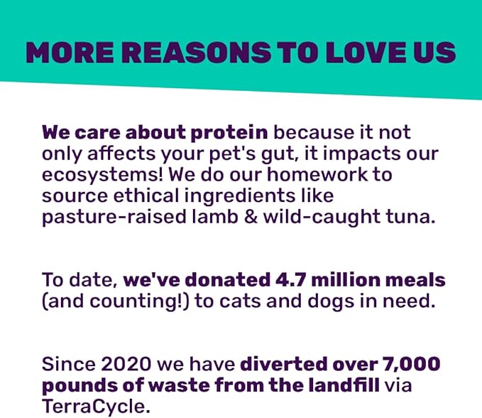 I and love and you Naked Essentials Dry Cat Food - Chicken + Turkey for Indoor Health - Grain Free, Real Meat, No Fillers, 3.4lb Bag