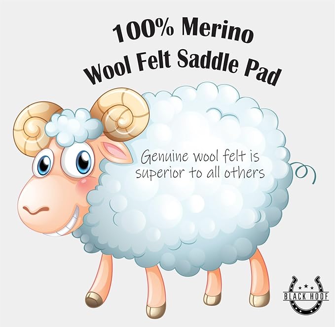 Black HOOF BlackHoof Steam Pressed Merino Wool Felt Contoured Pad 1 Inch Thick(31in Length and 32in Width), Saddle pad for Horses, White