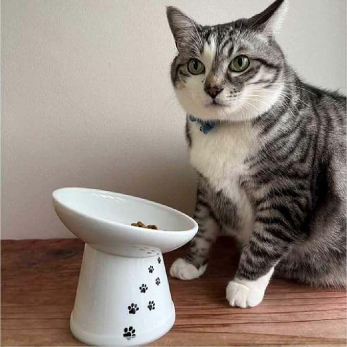 Necoichi Extra Wide Raised Cat Food Bowl, Elevated, Prevent Neck & Whisker Fatigue, Dishwasher and Microwave Safe, No.1 Seller in Japan! (Cat, Extra Wide Tilted)