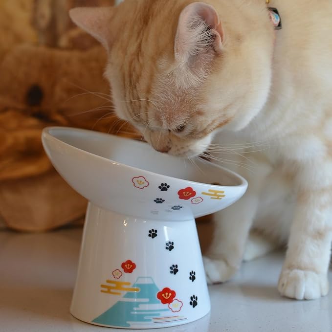 Necoichi Extra Wide Raised Cat Food Bowl, Elevated, Prevent Neck & Whisker Fatigue, Dishwasher and Microwave Safe, No.1 Seller in Japan! (Fuji, Extra Wide Tilted)