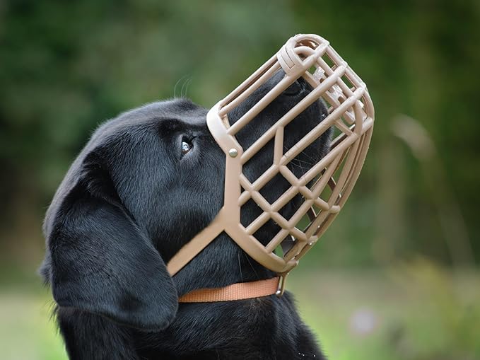 Leather Brothers Italian Basket Dog Muzzle, Adjustable Secure Fit, Comfortable Design, Training and Safety, Averts Biting, Prevents Chewing and Scavenging, Perfect for Grooming - Tan, Size 5