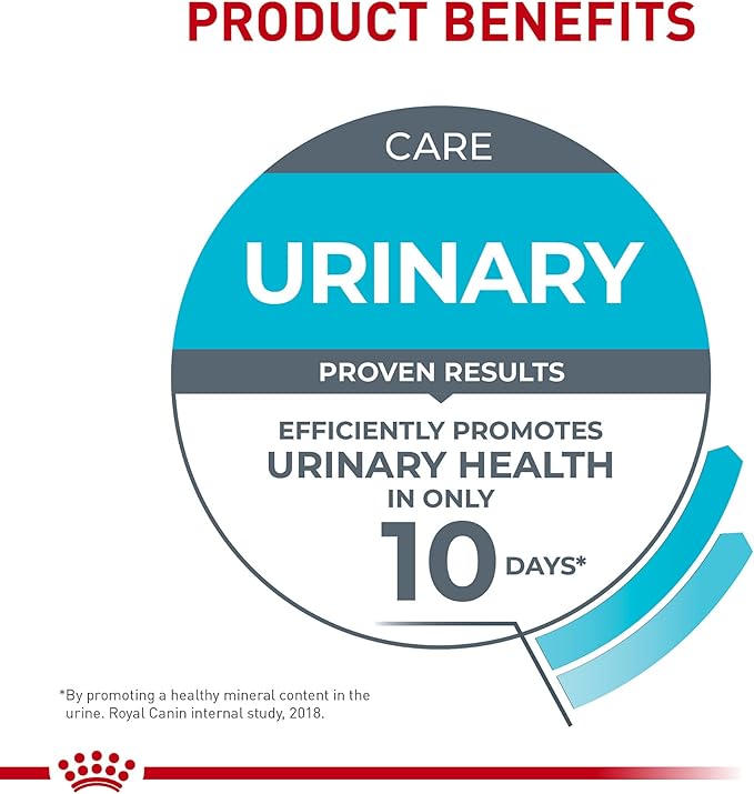Royal Canin Feline Urinary Care Thin Slices in Gravy Wet Cat Food, 3 oz can (12-count)