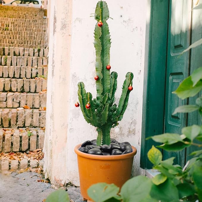 10 lbs Black Pebbles - 2-3 inch Decorative River Stones for Plants, Aquarium, Fish Tank, Outdoor Garden Landscaping