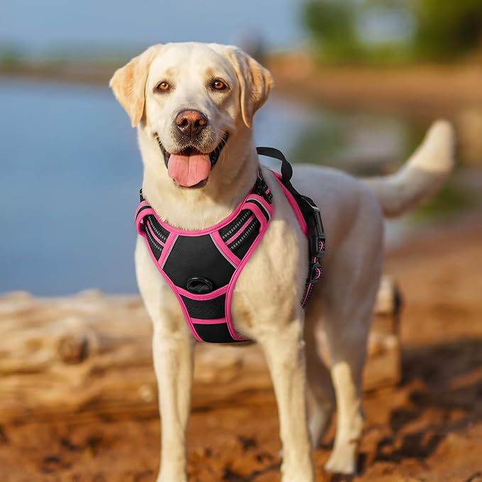 rabbitgoo Dog Harness No Pull with 2 Leash Clips, Adjustable Soft Padded, Reflective Oxford No Choke Pet Vest with Easy Control Handle for Large Dogs, Black & Hot Pink, XL