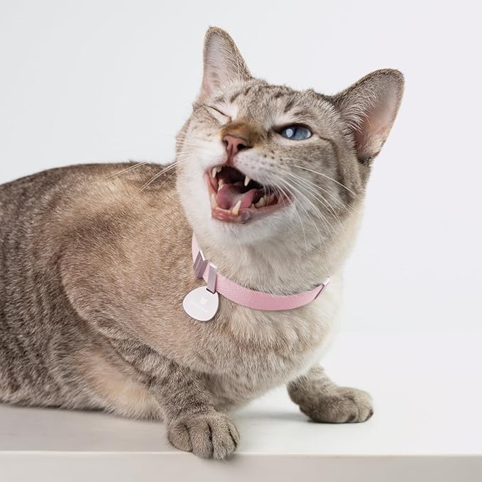 Safety Cat Collar Pro - U.S. IDA Gold Awarding Design, Elastic Quick Release Cat Collar with Buckle Non Breakaway - Lightweight for Kitten All Small Large Cats (Vivid Red, S 5.9-11.8")