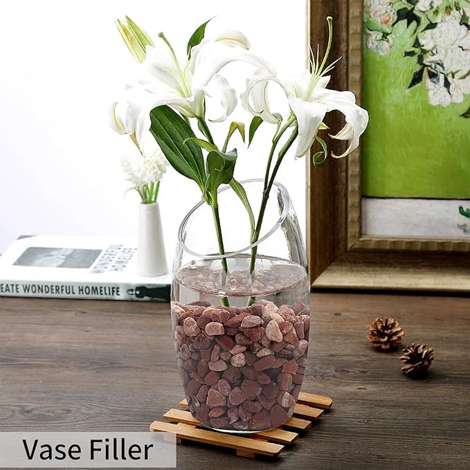 10 lbs Pebbles for Plants, 3/8 Inch Pea Gravel Stones Decorative Red River Rocks for Succulent, Cactus, Landscaping, Vases, Terrarium, Aquarium, Potted Top Dressing and Outdoor Garden