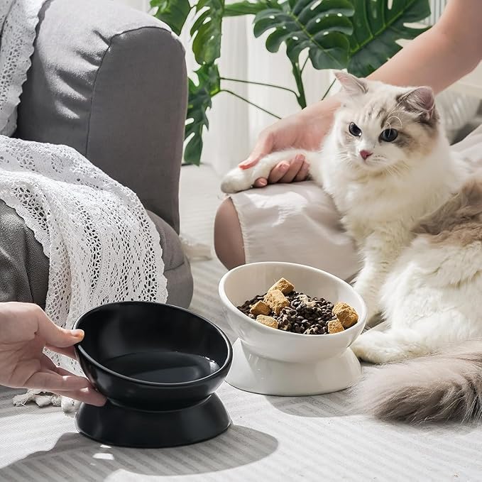 YINGFAN Elevated Cat Bowls, 5oz Ceramic Raised Cat Bowl for Cats/Kittens with Tilted Design, Porcelain Cats Feeding Dishes for Food/Water, Anti Vomit, Microwave & Dishwasher Safe (Black)