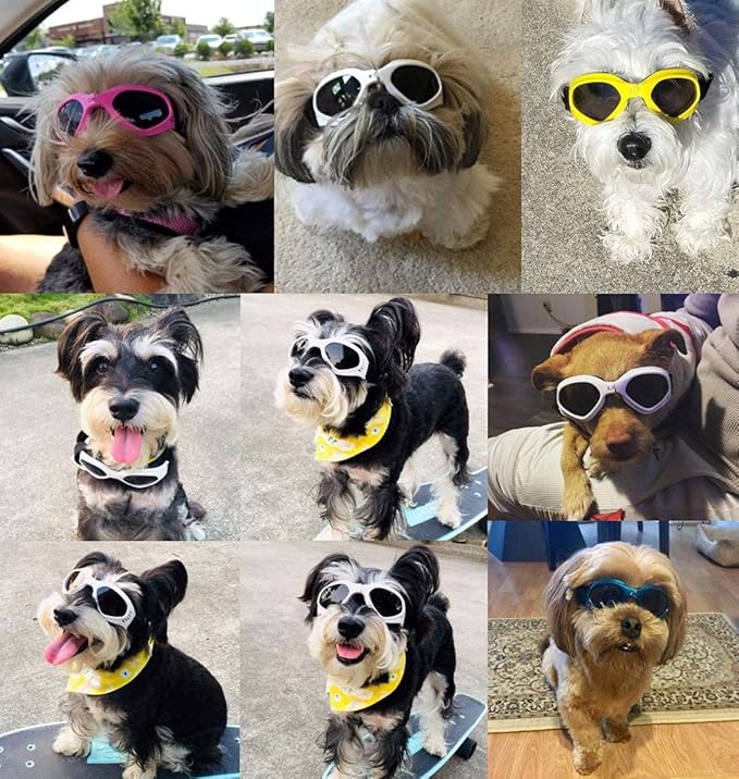 LECONPET Small Dog Sunglasses Waterproof Windproof UV Protection Pet Sunglasses Dog Goggles for Doggy Puppy Cat (Red)
