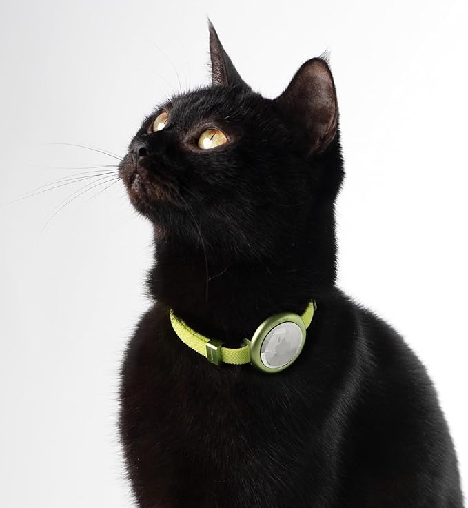 Safety Cat Collar Pro, Lightweight Elastic Release Non Breakaway Cat Collar Adjustable with Snap Fastener for Kitten All Small Large Cats, US IDA Gold Award (Monet Purple, M 7.9-15.7")