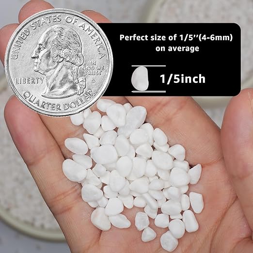1/5 Inch White Succulent Cactus Gravel, 10 lbs – Ideal for Succulent Plant Pots, Vase Fillers, Glass Containers, Aquariums, Patios, and Outdoor Gardening River Stones (White, 10 Pounds)