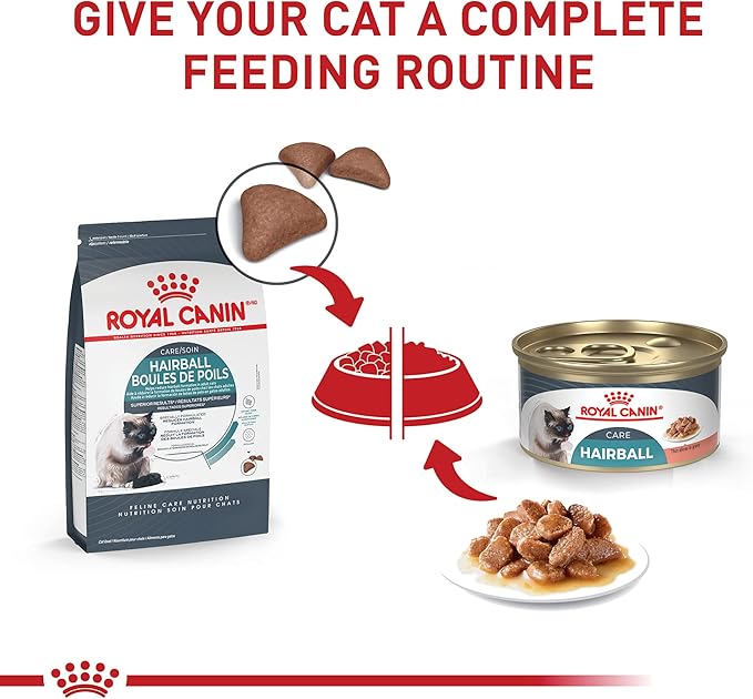 Royal Canin Hairball Care Thin Slices In Gravy Wet Cat Food, 3 oz can (12-count)