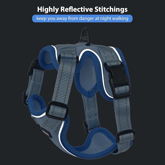 Rttochfy Cat Harness and Leash Set, Adjustable and Reflective Cat Vest, Escape Proof Kitten Harness, Easy to Put on with 3 Buckles for Cats Walking and Traveling (Blue, S)