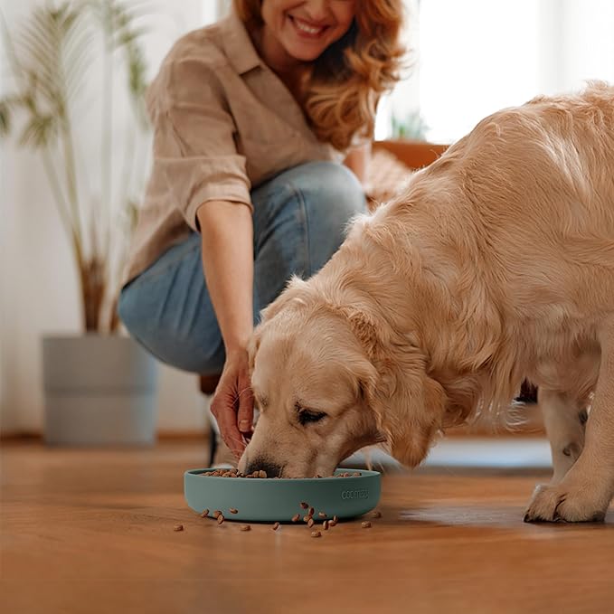 Coomazy Large Silicone Slow Feeder Dog Bowls, Interactive Puzzle Toy for Pets Food Training, Keeps Dogs Busy, Prevents Puppy Overeating (Dark Green, Large: 3.2Cup)