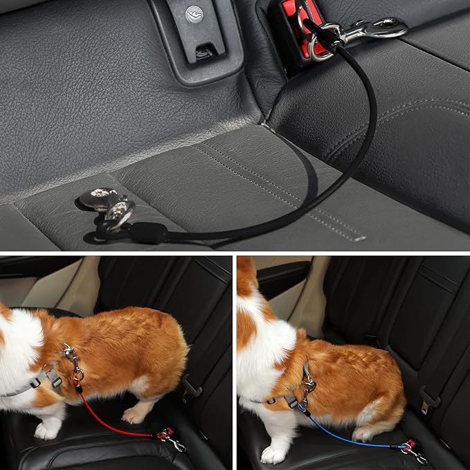 Dog Seat Belt Harness for Car,2pcs Dog Seatbelt of Coated Wire Leash Safety Restraint,No Chew Tether Cable Vehicle Dog Accessories,Double Clips & Latch (2 Pack Black, 16 inch/40 CM)