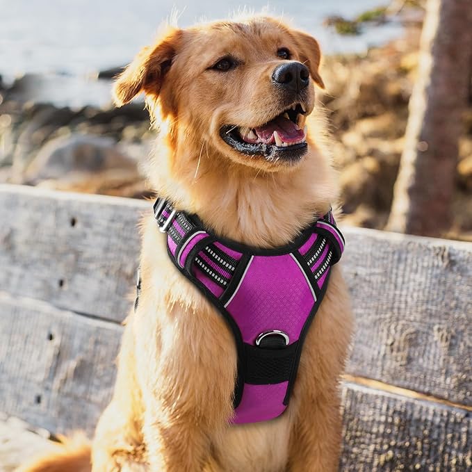 rabbitgoo Dog Harness for Large Dogs, No Pull Pet Vest with 3 Buckles, Adjustable Soft Padded Pet Harness with Easy Control Handle and Reflective Strips, Purple, XL