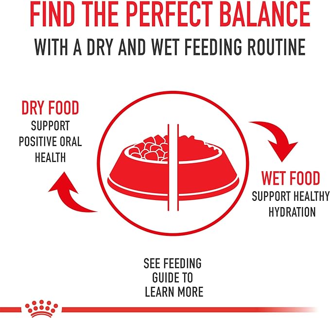 Royal Canin Poodle Adult Breed Specific Wet Dog Food, 3 oz can