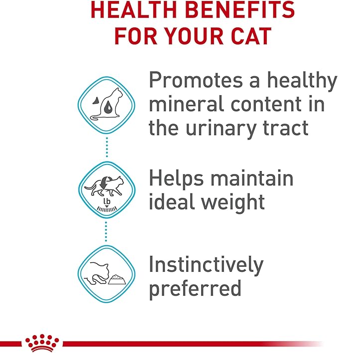 Royal Canin Feline Urinary Care Thin Slices in Gravy Wet Cat Food, 5.1 oz can (24-Count)