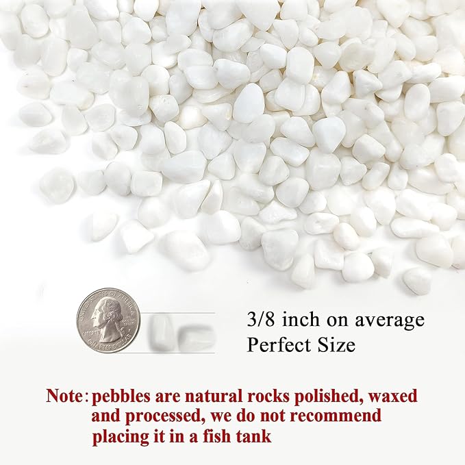 10 lbs White Pebbles for Indoor Plants, 3/8 Inch Decorative White Stones. Polished River Rocks for Potted Plants Vase Cactus Bird Bath and Outdoor Garden Landscaping