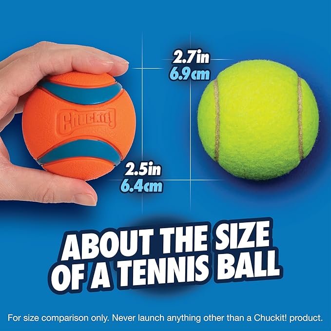 Mammoth Flossy Chews Rope Tug + Chuckit! Ultra Ball Dog Toy