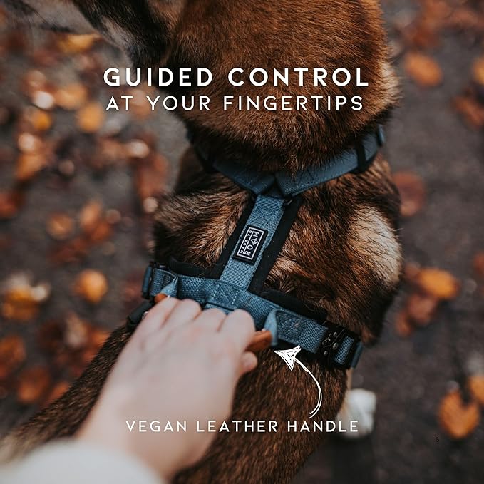 MADE TO ROAM Premium Explorer Harness - Y-Shaped Dog Harness with Adjustable Durable Nylon, Soft Padding, Metal Buckles and Leather Handle for Small, Medium, Large Dogs (Florida Seaside, Size 7)
