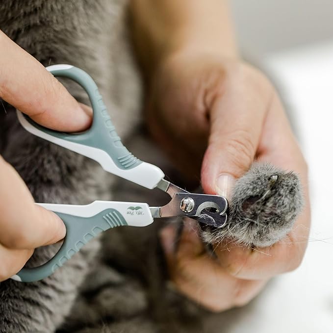 Mr. Pen- Cat Nail Clipper Cat Nail Trimmers Cat Claw Clippers Cat Claw Trimmers Kitten Nail Clipper Cat Clippers Nails Nail Clippers Cats Pet Nail Clippers Cats Cat Nail Cutter Olive ALNA001M301N