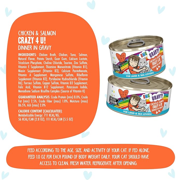 Weruva B.F.F. OMG - Best Feline Friend Oh My Gravy! Grain-Free Wet Cat Food Cans, Crazy 4 U! Chicken & Salmon, 2.8oz Can (Pack of 12)