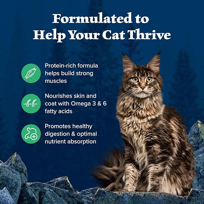 Blue Buffalo Wilderness Duck Supports Health and Wellness High-Protein & Grain-Free Healthy Adult Dry Cat Food 11 lbs.