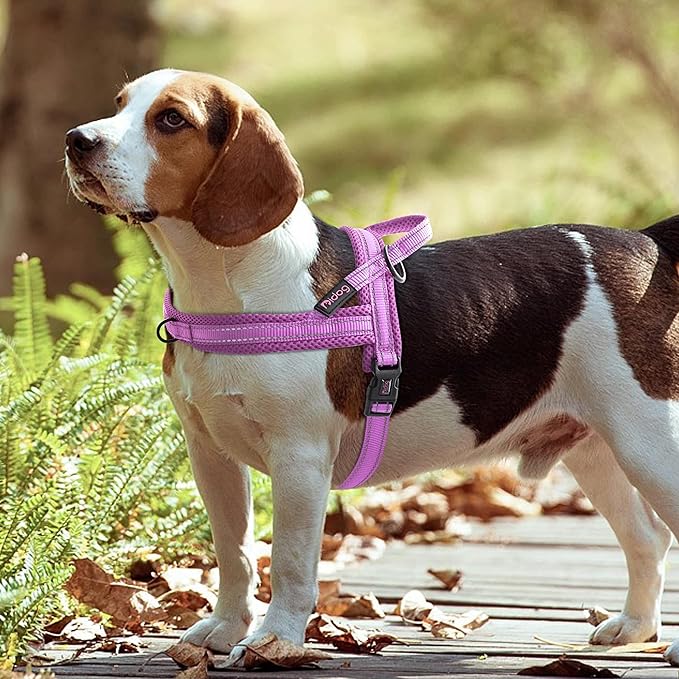 Didog No Pull Dog Harness with Soft Mesh Padded,Reflective & Quick Fit Light Weight Dog Strap Vest Harness,Easy for Walking Training (S:Chest 18-22", Purple)