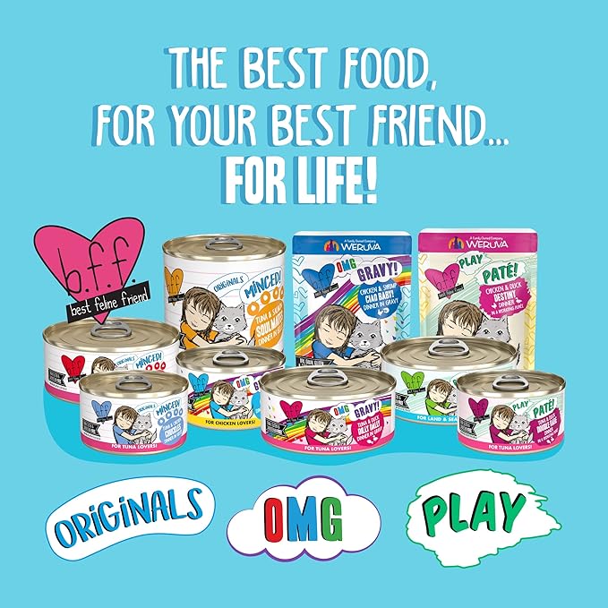 Weruva B.F.F. OMG - Best Feline Friend Oh My Gravy! Grain-Free Wet Cat Food Cans, Crazy 4 U! Chicken & Salmon, 2.8oz Can (Pack of 12)