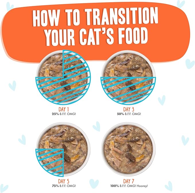 Weruva B.F.F. OMG - Best Feline Friend Oh My Gravy! Grain-Free Wet Cat Food Cans, Crazy 4 U! Chicken & Salmon, 2.8oz Can (Pack of 12)