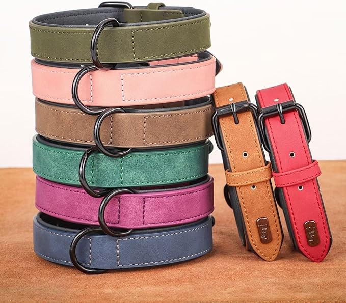Didog Soft Padded PU Leather Dog Collar, Breathable and Adjustable Dog Collars for Medium Dogs, Comfortable for Daily Walk, Dark Green, L Fit Neck 13-17"(22-44 lbs)