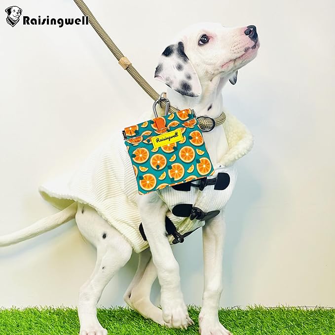 Dog Treat Pouch,Cotton Pocket Sized Training Holder, Hand Free Walking Funny Bag with Carabiner, Self-Closing Pet Feed Snack Reward, Behavior Aids for Puppy Travel or Outdoor Use(Fruit Orange)