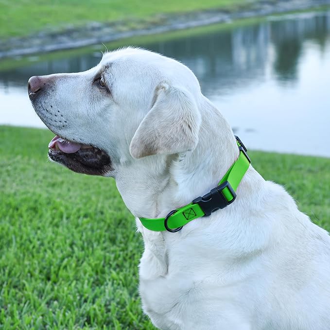 Dogline Biothane Waterproof Dog Collar with Quick Release Buckle Strong Coated Nylon Webbing with Odor- Proof for Easy Care Easy to Clean Fits Small Medium Large Dogs, Lime Green 3/4" W 12-19" L