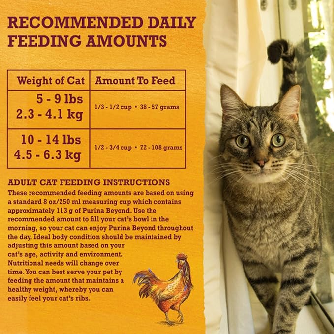 Purina Beyond Grain Free White Meat Chicken & Egg Recipe Adult Dry Cat Food, 3 LB